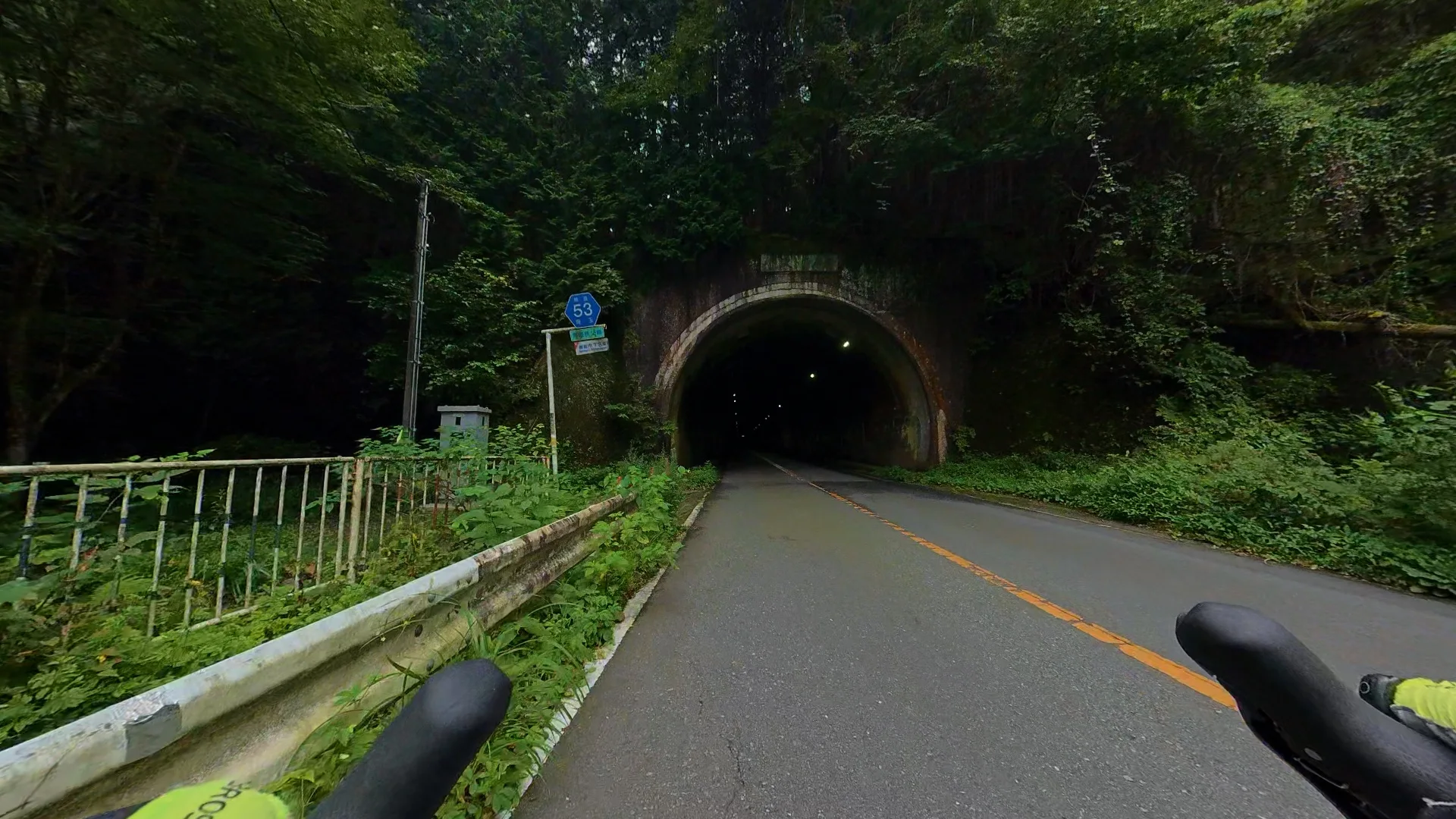 緑に覆われた山道のトンネル入口