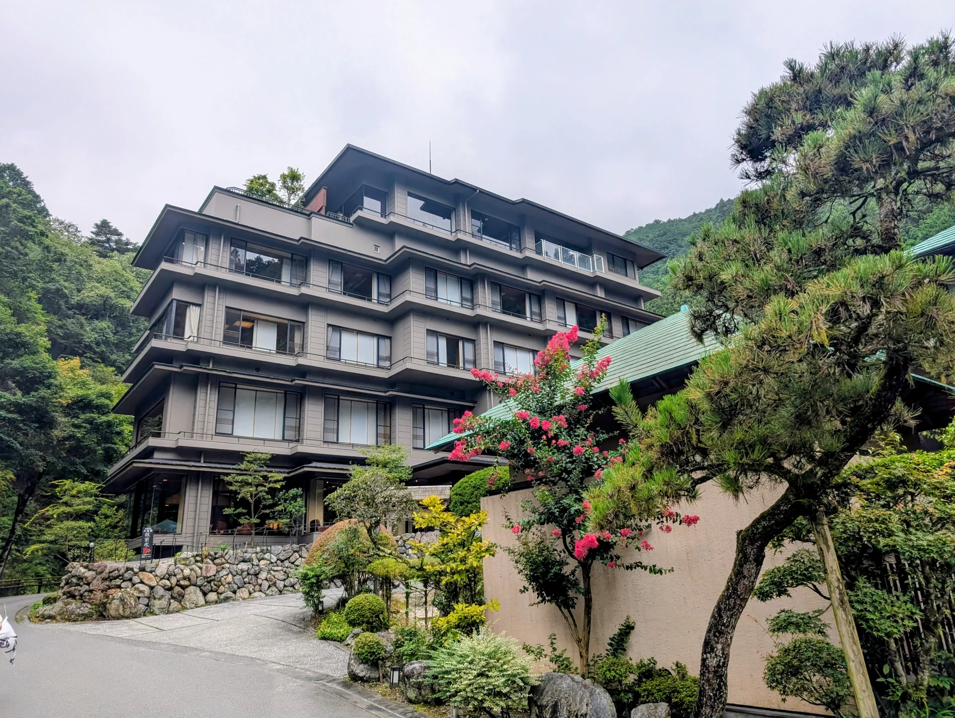 緑に囲まれた大松閣の外観